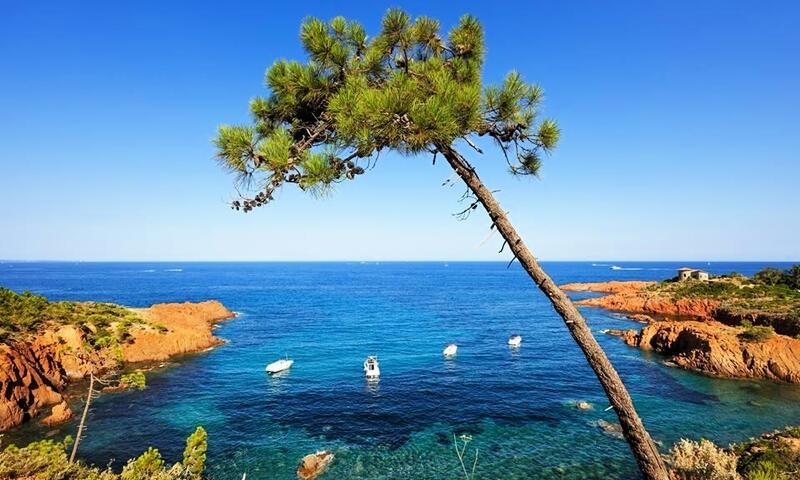 Camping La Provençale 4*