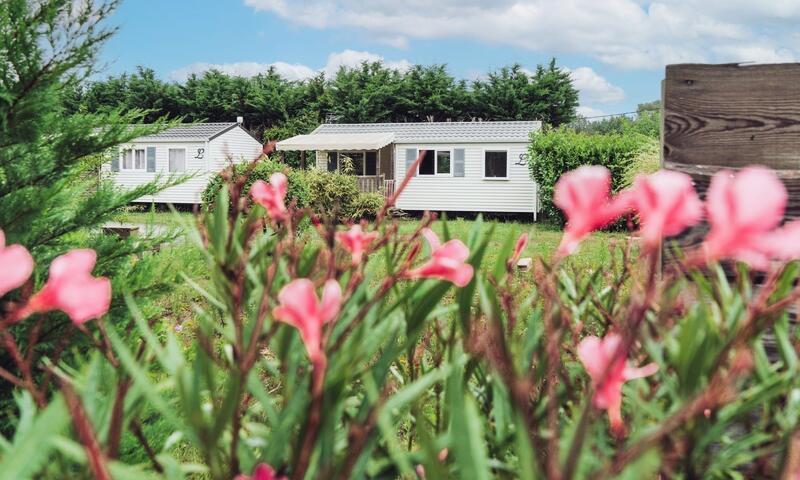 Camping Paradis Les Pins Royan 4*
