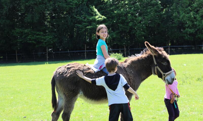 Camping Ferme Pédagogique de Prunay 4*
