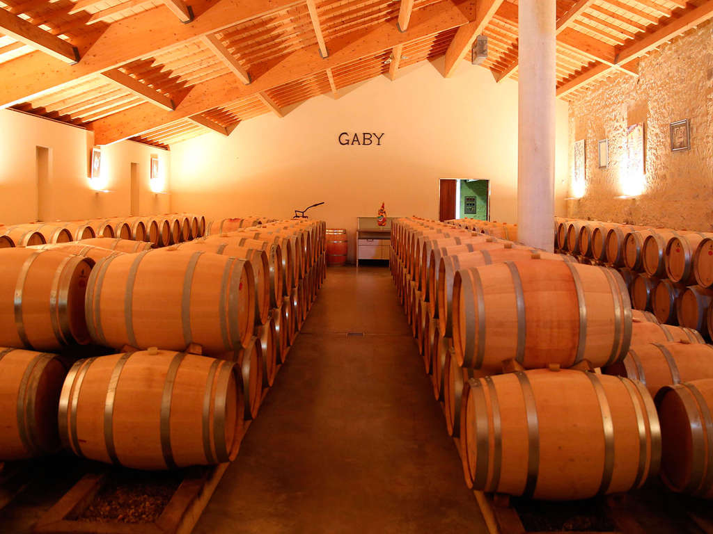 Week-end avec dégustation de vins à Beaune - 4*