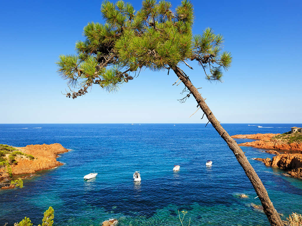 Entre terre, mer et luxe dans un studio au coeur de Cannes - 4*