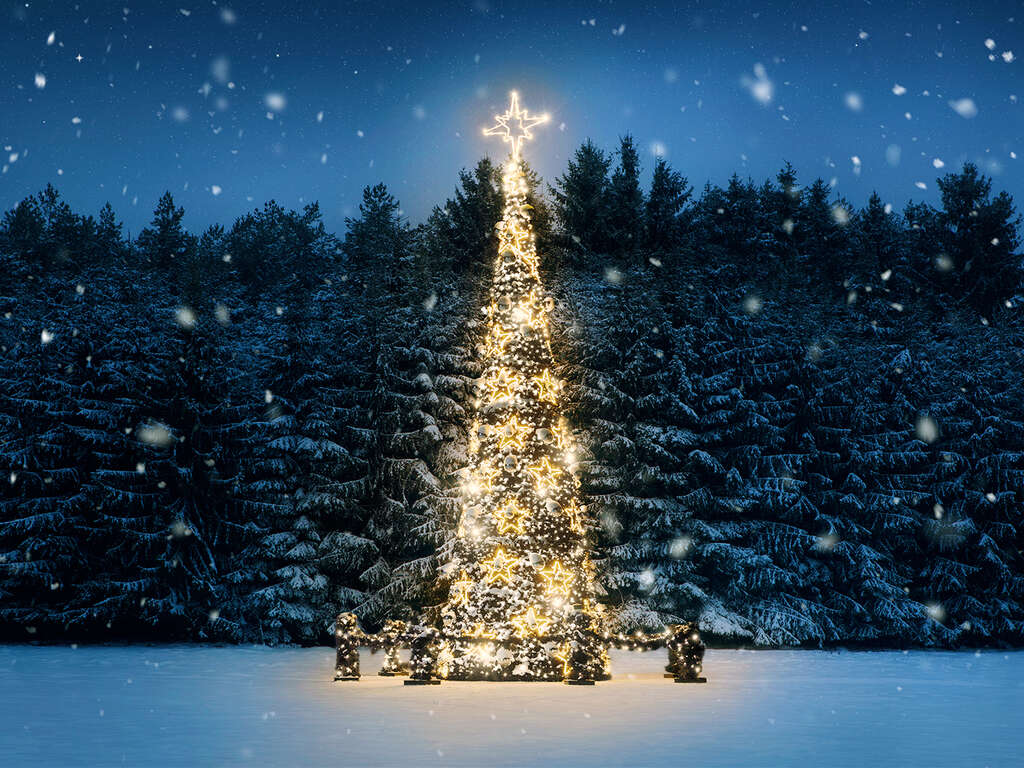 Plongez vous dans l´ambiance de Noël à Lille - 4*