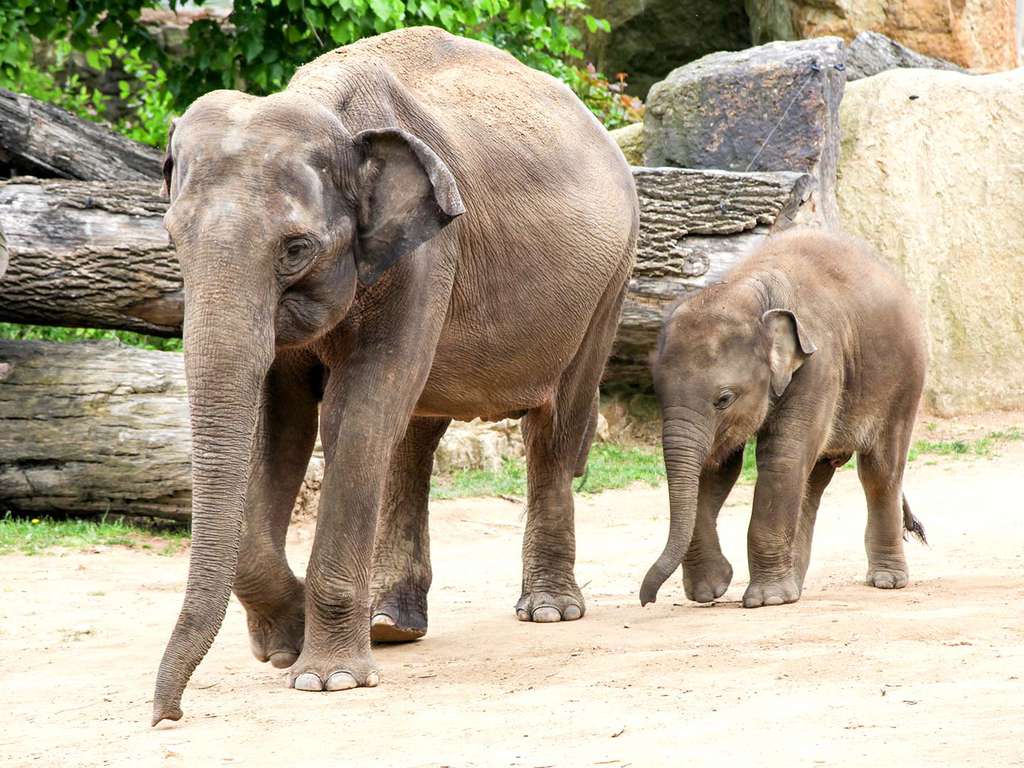 Week-end près de Cassis avec entrées pour Zoo de la Barben - 3*