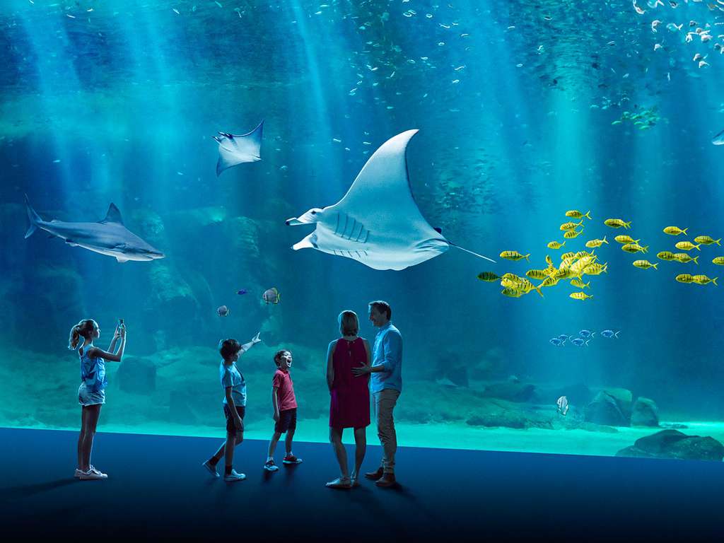 Séjour proche de la plage avec entrée à l'Aquarium Nausicaa - 3*