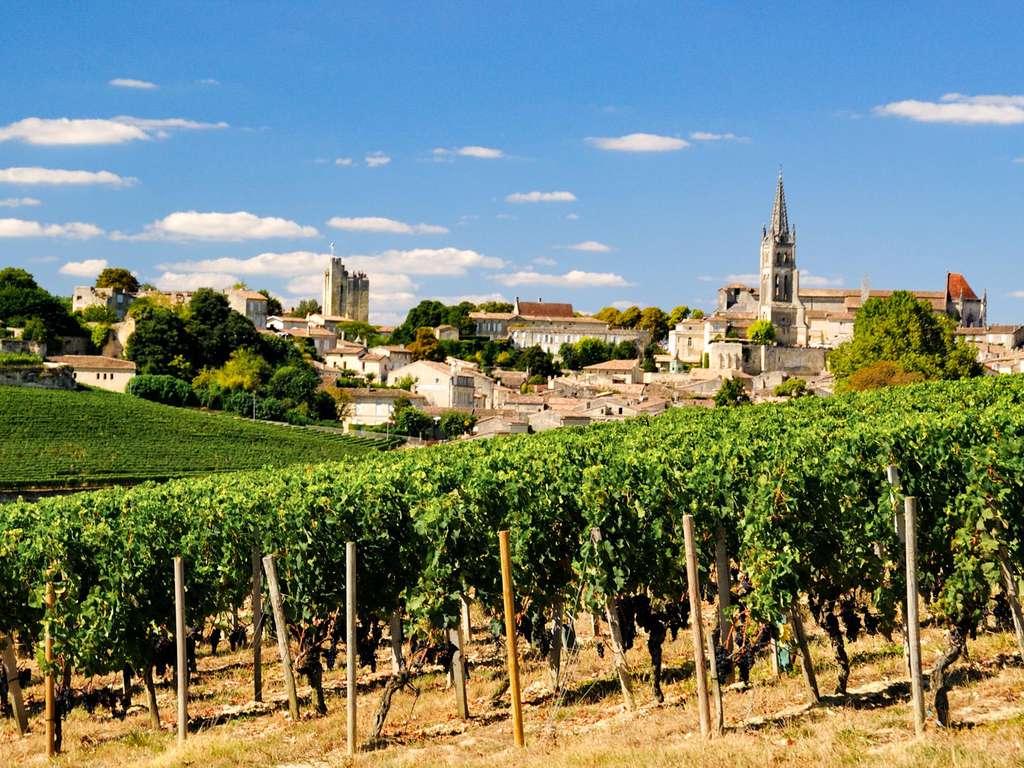 A la découverte des vins et de la cité médiévale de Saint-Emilion - 3*