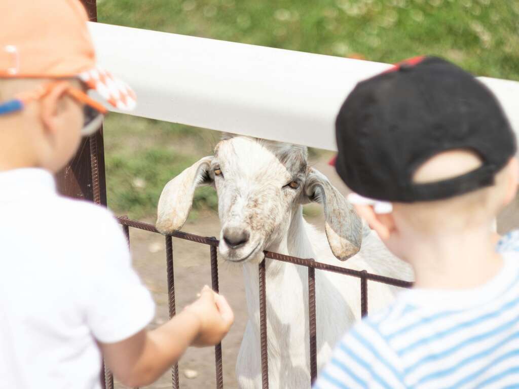 Aventurez-vous au ZooSafari de Thoiry le temps d'un week-end - 4*
