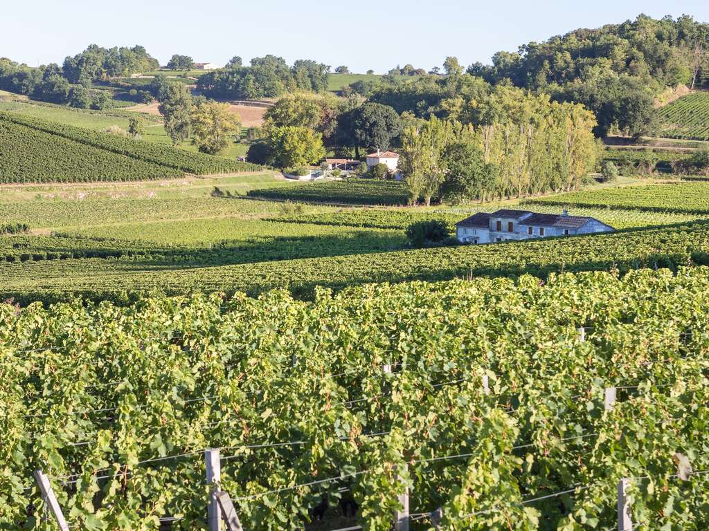 Novotel Bordeaux Centre Gare Saint Jean - Séjour avec visite d'un vignoble à Saint-Émilion - 4*