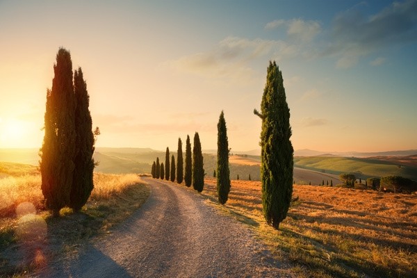 Autotour Balade en Toscane : Route des Vins 3*