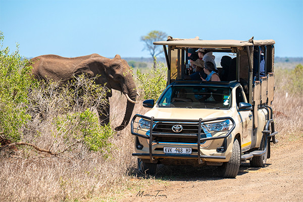 Circuit Royal Kruger Lodge and Spa 4*