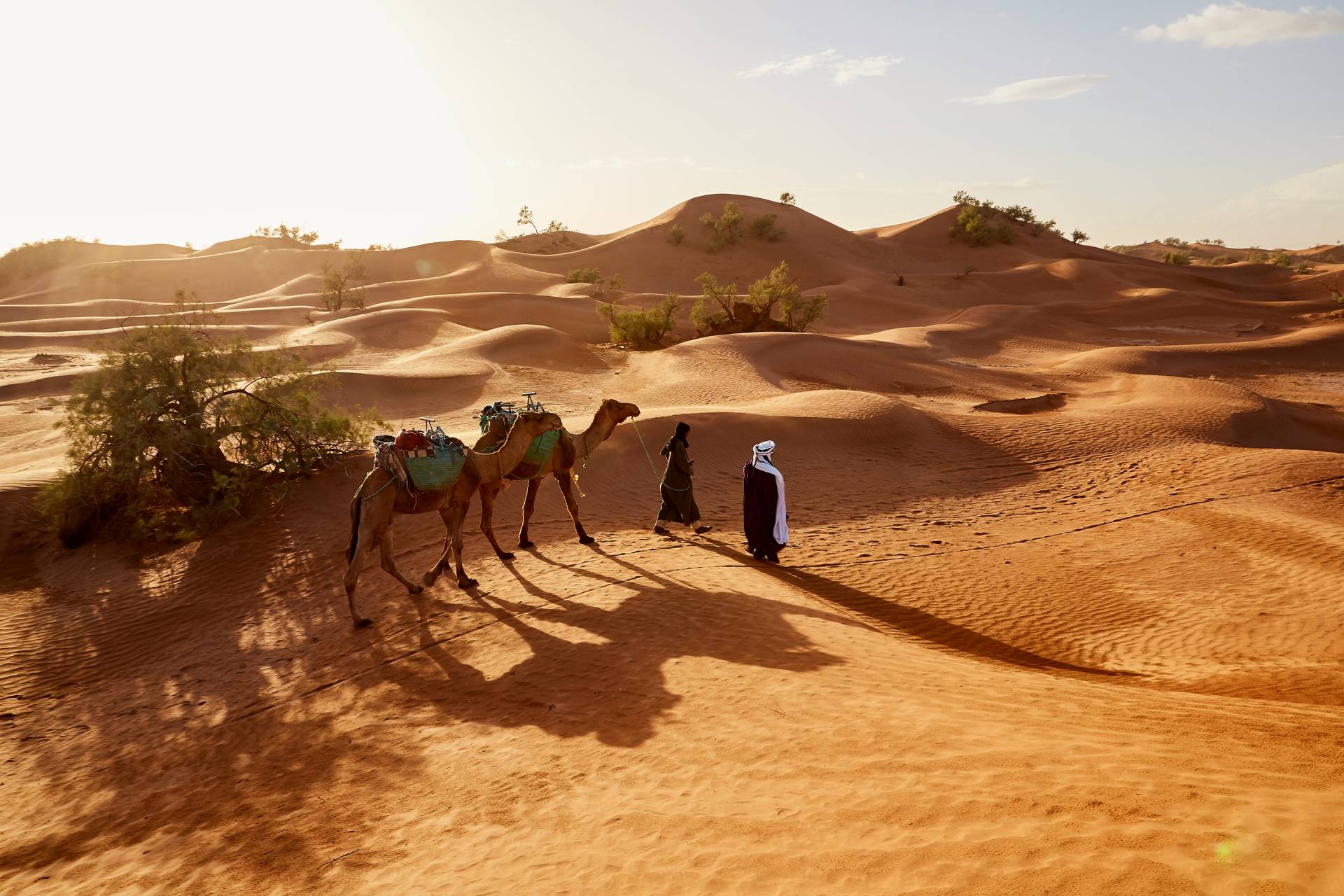 Circuit le Souffle des Dunes: Voyage à Pied au Coeur du Grand Sud