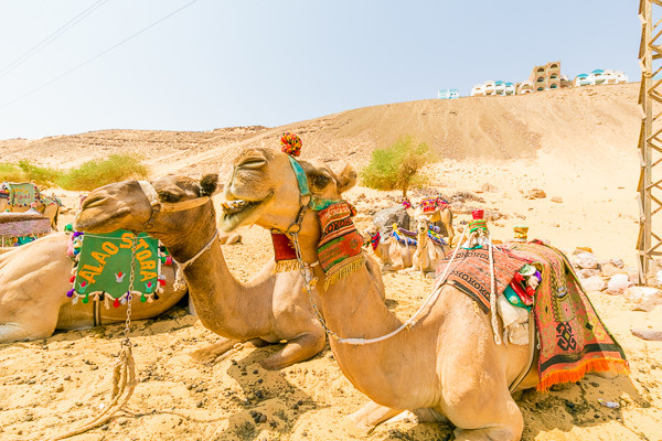 Croisière Gloire des Pharaons et extension au Framissima Swiss Inn Resort 5*