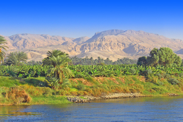 Croisière Club Jumbo Trésors Au Pays des Pharaons 5* (10 visites)