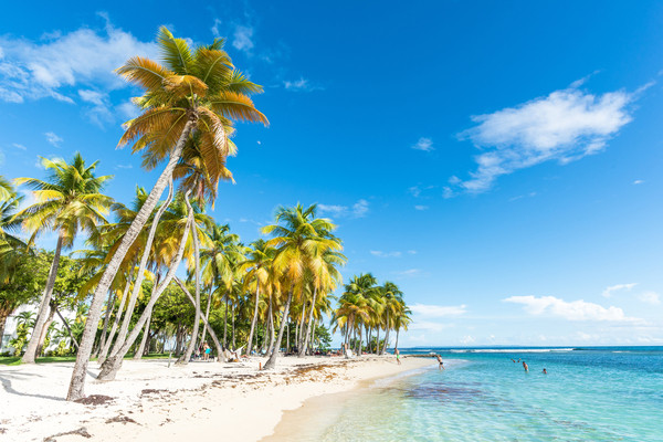 Résidence Tropicale