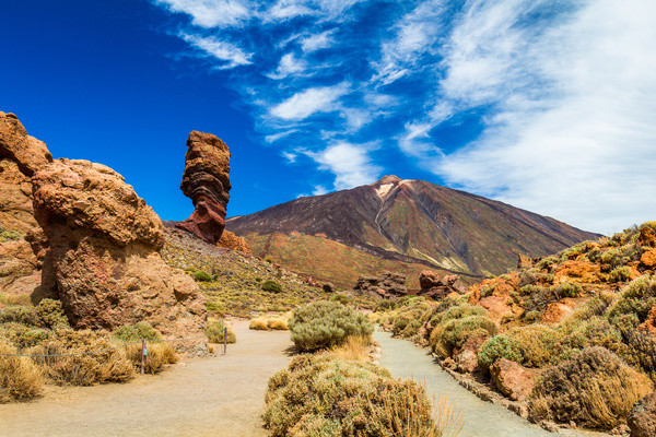 Circuit Randonnée entre volcan et forêts, logement au FERGUS Puerto de la Cruz ****