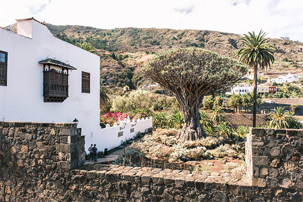 Circuit Saveurs et traditions des Canaries + extension au Hovima Cool Costa Adeje 4*
